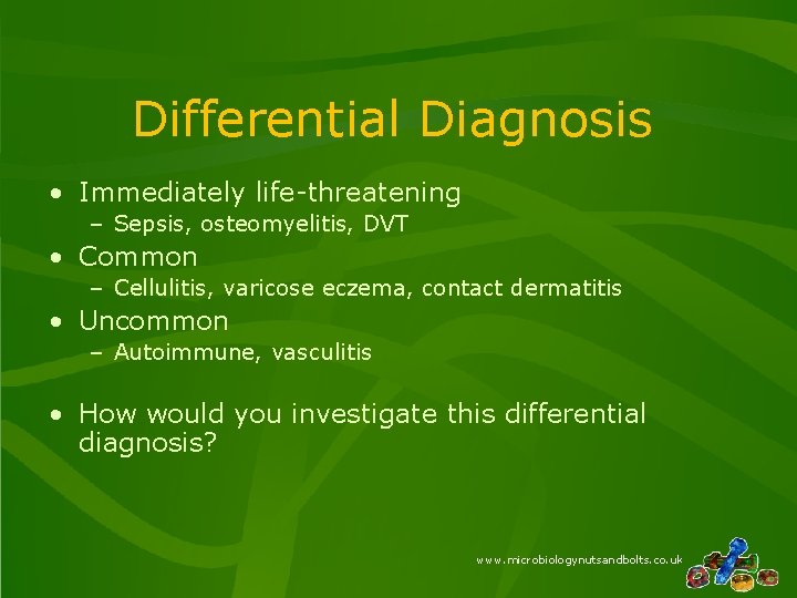 Differential Diagnosis • Immediately life-threatening – Sepsis, osteomyelitis, DVT • Common – Cellulitis, varicose