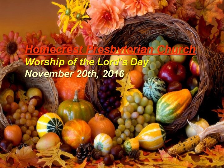 Homecrest Presbyterian Church Worship of the Lord’s Day November 20 th, 2016 