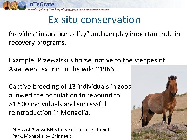 Ex situ conservation Provides “insurance policy” and can play important role in recovery programs.