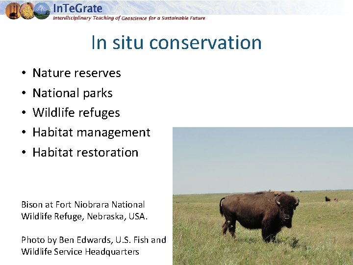 In situ conservation • • • Nature reserves National parks Wildlife refuges Habitat management