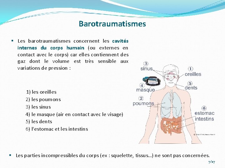 Barotraumatismes § Les barotraumatismes concernent les cavités internes du corps humain (ou externes en