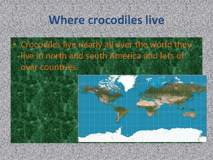 Where crocodiles live • Crocodiles live nearly all over the world they live in