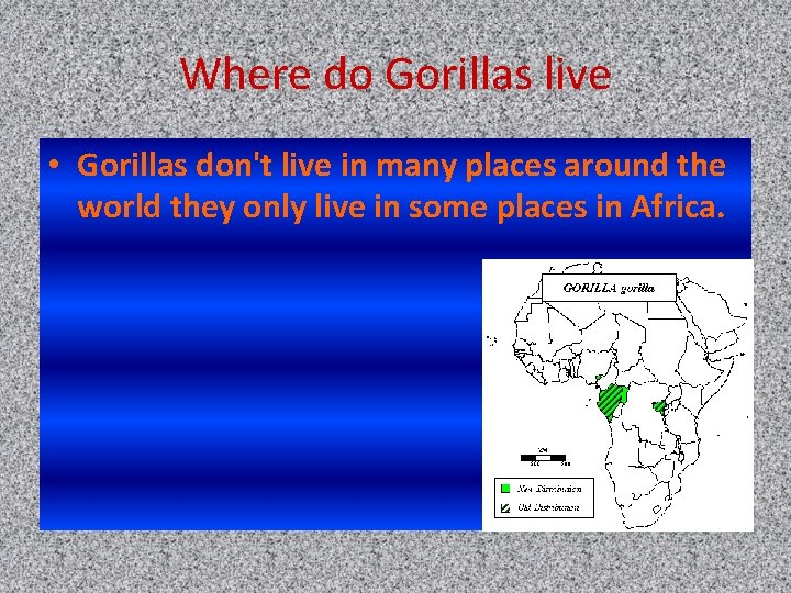 Where do Gorillas live • Gorillas don't live in many places around the world
