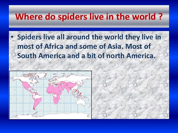 Where do spiders live in the world ? • Spiders live all around the