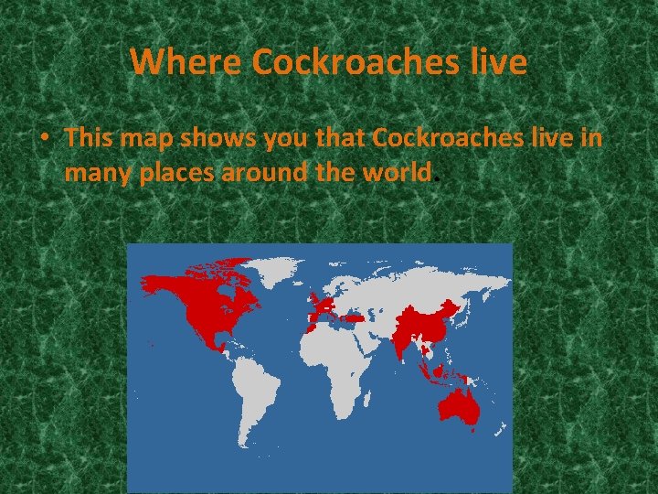 Where Cockroaches live • This map shows you that Cockroaches live in many places