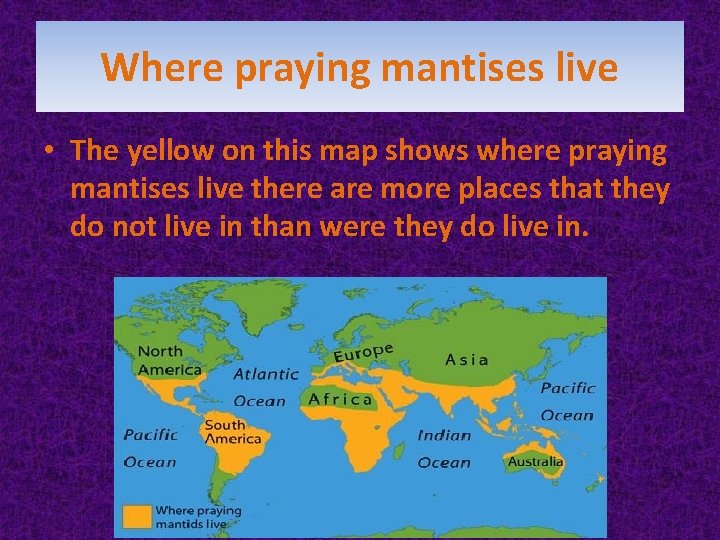 Where praying mantises live • The yellow on this map shows where praying mantises