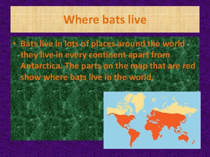 Where bats live • Bats live in lots of places around the world they