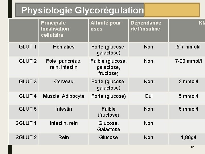 Physiologie Glycorégulation Principale localisation cellulaire Affinité pour oses Dépendance de l’insuline KM GLUT 1
