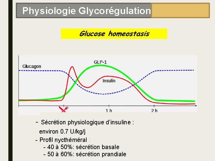 Physiologie Glycorégulation - Sécrétion physiologique d’insuline : : environ U/kg/j environ 0. 70. 6