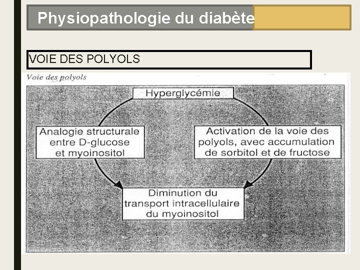 Physiopathologie du diabète VOIE DES POLYOLS 