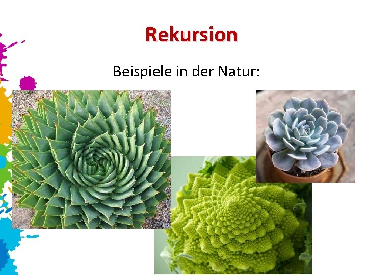 Rekursion Beispiele in der Natur: 