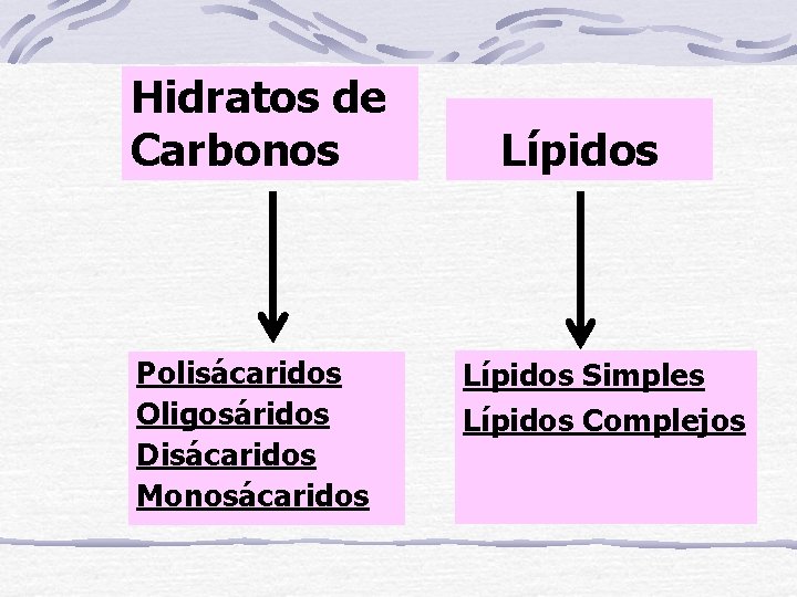 Hidratos de Carbonos Polisácaridos Oligosáridos Disácaridos Monosácaridos Lípidos Simples Lípidos Complejos 