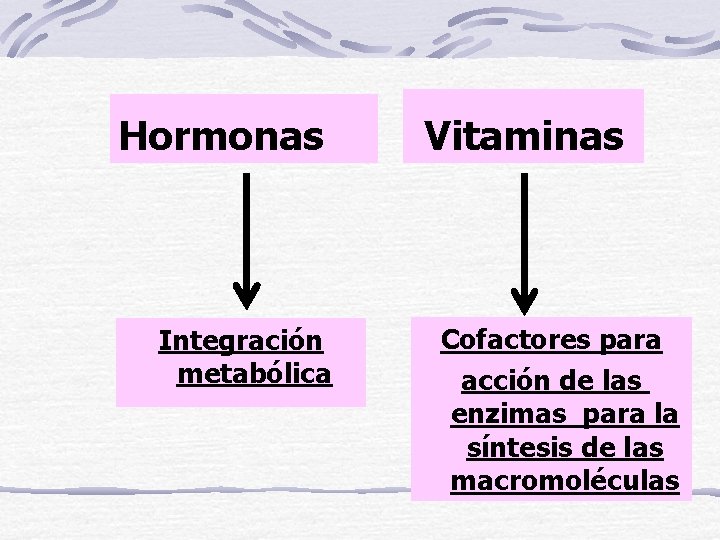 Hormonas Integración metabólica Vitaminas Cofactores para acción de las enzimas para la síntesis de