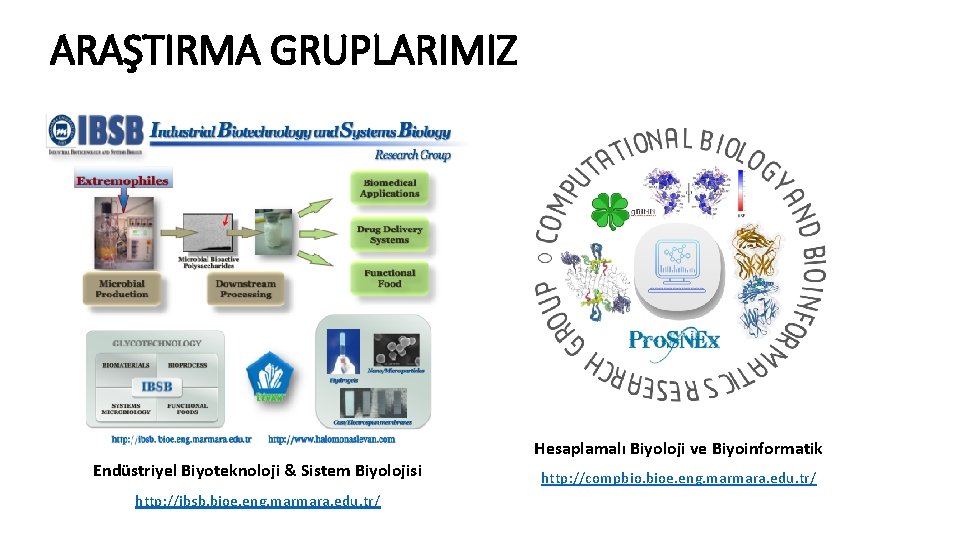 ARAŞTIRMA GRUPLARIMIZ Hesaplamalı Biyoloji ve Biyoinformatik Endüstriyel Biyoteknoloji & Sistem Biyolojisi http: //ibsb. bioe.