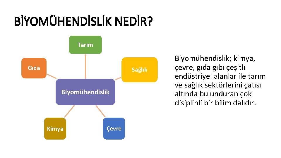 BİYOMÜHENDİSLİK NEDİR? Tarım Gıda Sağlık Biyomühendislik Kimya Çevre Biyomühendislik; kimya, çevre, gıda gibi çeşitli