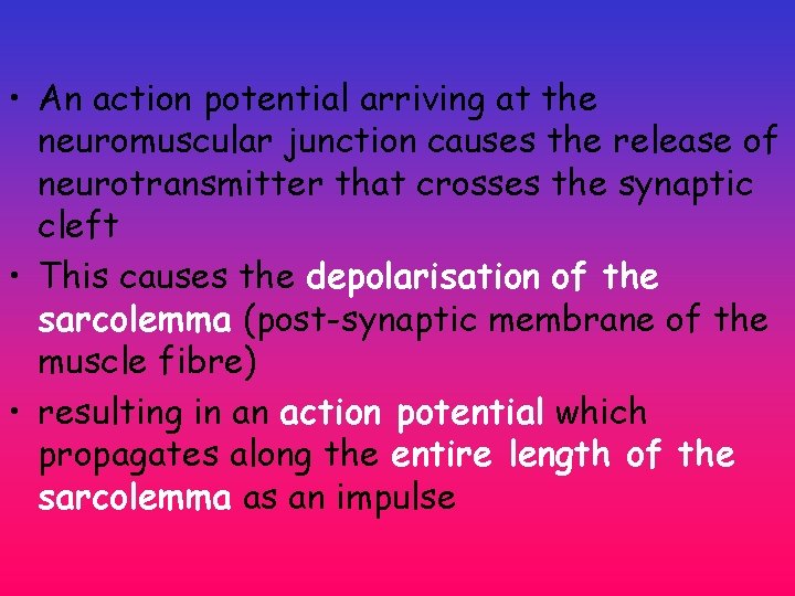 • An action potential arriving at the neuromuscular junction causes the release of • An action potential arriving at the neuromuscular junction causes the release of