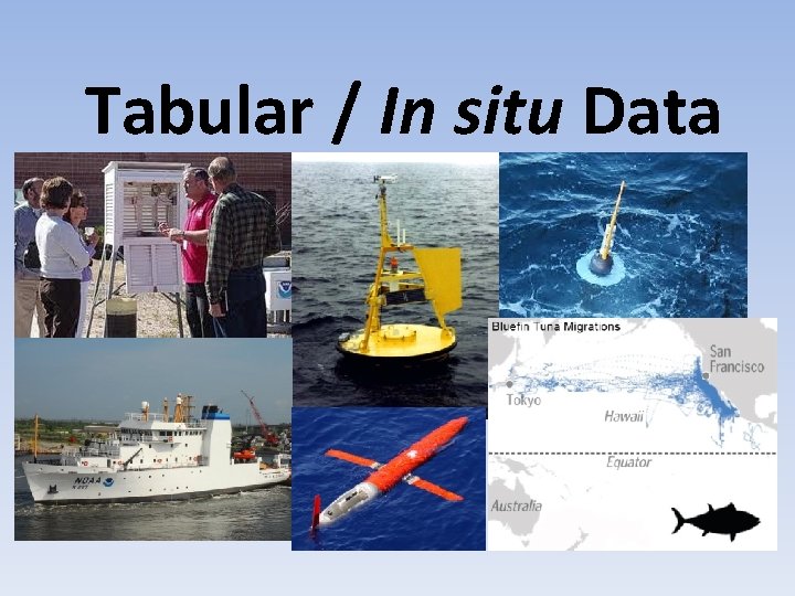 Tabular / In situ Data 