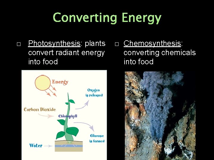 Converting Energy � Photosynthesis: plants convert radiant energy into food � Chemosynthesis: converting chemicals