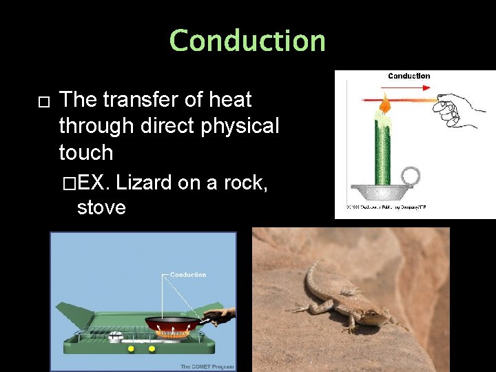 Conduction � The transfer of heat through direct physical touch �EX. Lizard on a
