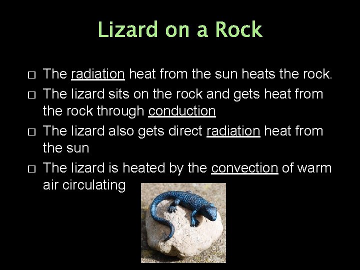 Lizard on a Rock � � The radiation heat from the sun heats the