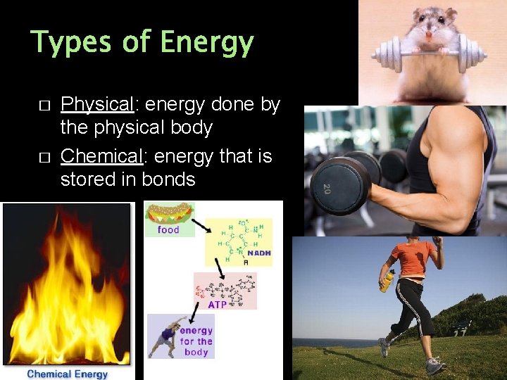 Types of Energy � � Physical: energy done by the physical body Chemical: energy