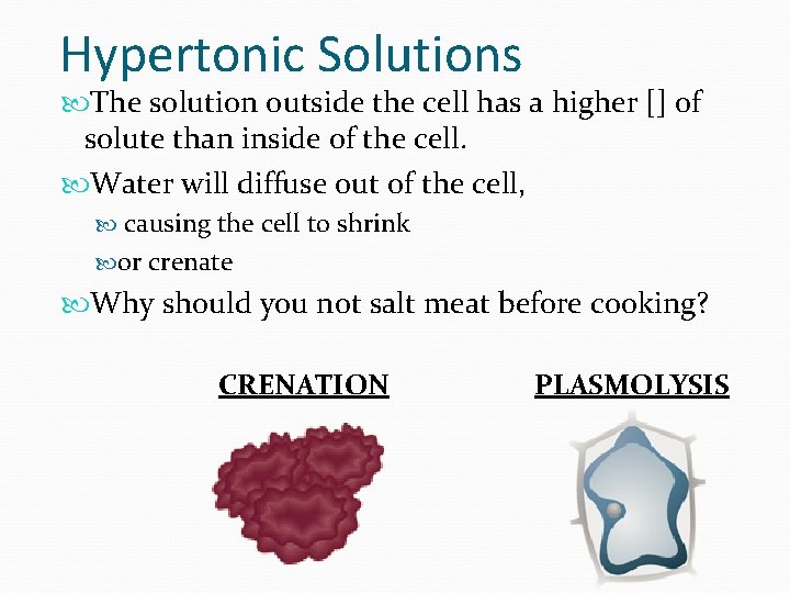 Hypertonic Solutions The solution outside the cell has a higher [] of solute than