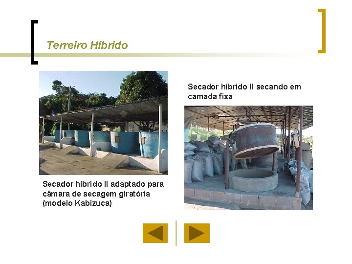 Terreiro Híbrido Secador híbrido II secando em camada fixa Secador híbrido II adaptado para