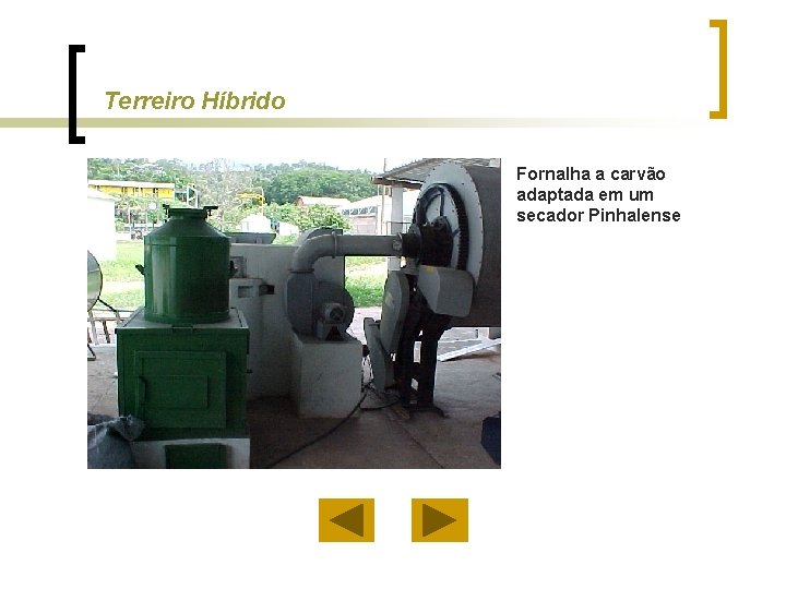 Terreiro Híbrido Fornalha a carvão adaptada em um secador Pinhalense 