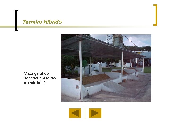 Terreiro Híbrido Vista geral do secador em leiras ou híbrido 2 