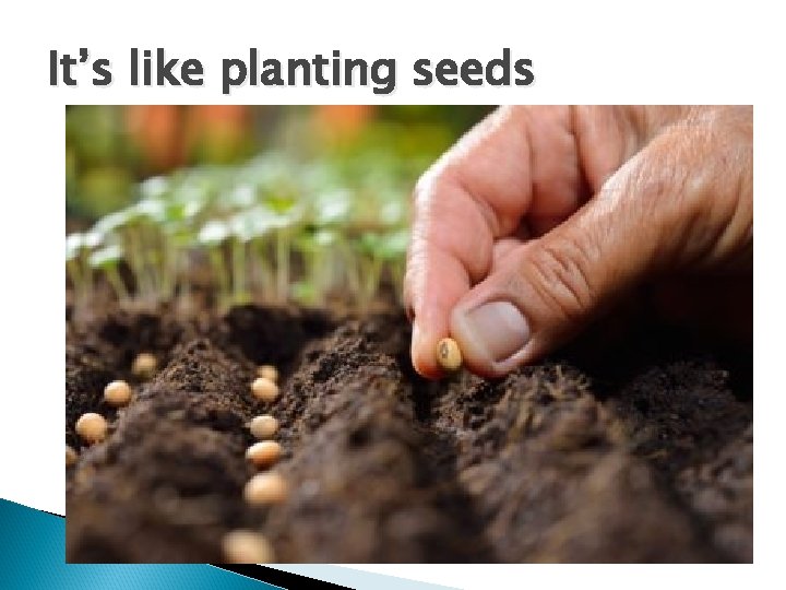 It’s like planting seeds 