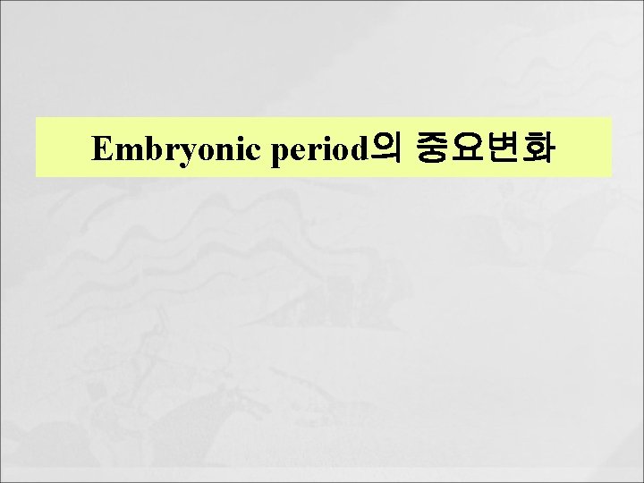 Embryonic period의 중요변화 