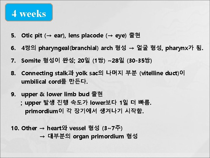 4 weeks 5. Otic pit (→ ear), lens placode (→ eye) 출현 6. 4쌍의
