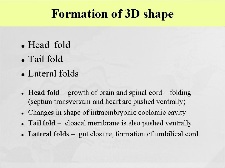Formation of 3 D shape Head fold Tail fold Lateral folds Head fold -