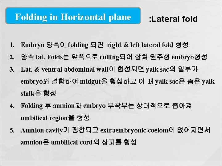 Folding in Horizontal plane : Lateral fold 1. Embryo 양측이 folding 되면 right &