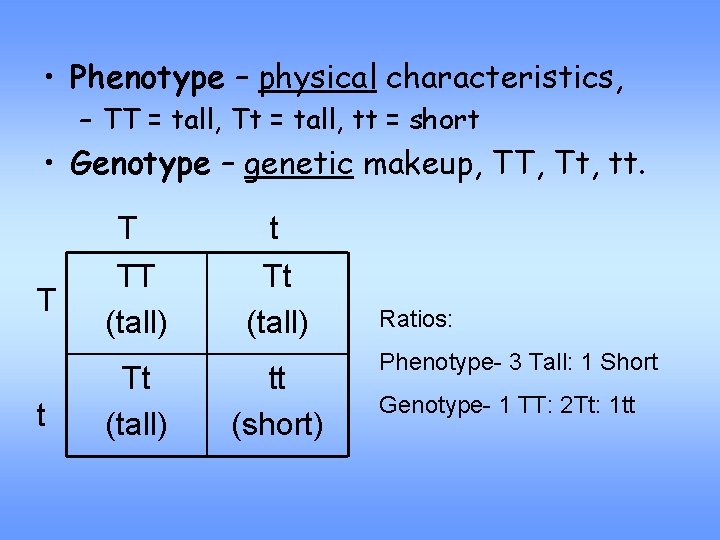  • Phenotype – physical characteristics, – TT = tall, Tt = tall, tt