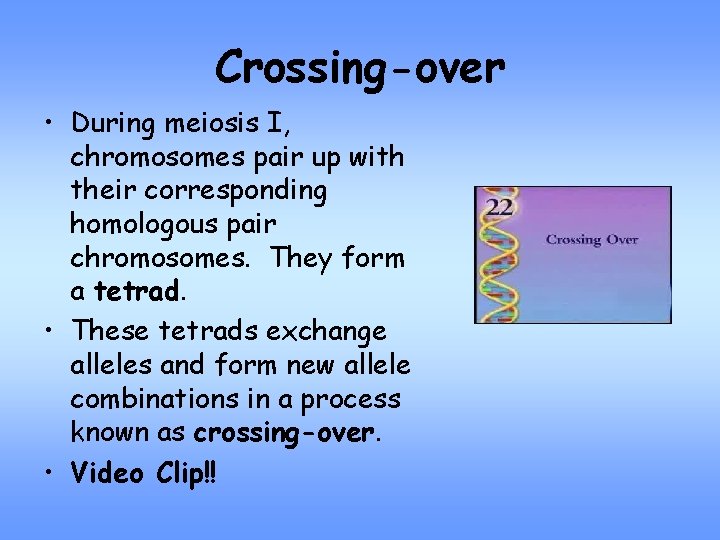 Crossing-over • During meiosis I, chromosomes pair up with their corresponding homologous pair chromosomes.