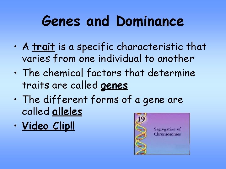 Genes and Dominance • A trait is a specific characteristic that varies from one