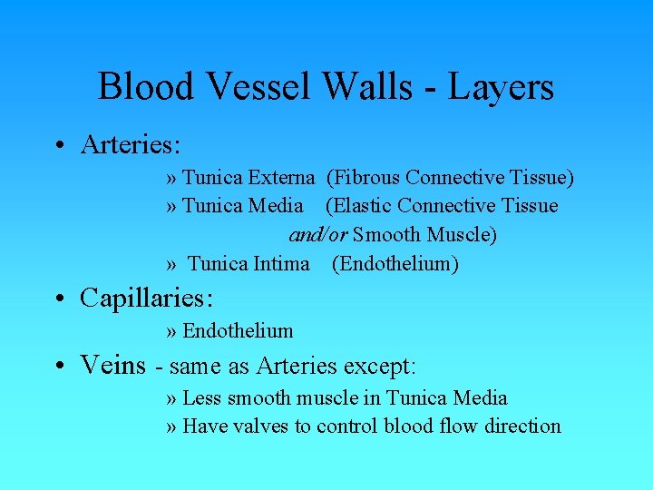 Blood Vessel Walls - Layers • Arteries: » Tunica Externa (Fibrous Connective Tissue) » Blood Vessel Walls - Layers • Arteries: » Tunica Externa (Fibrous Connective Tissue) »