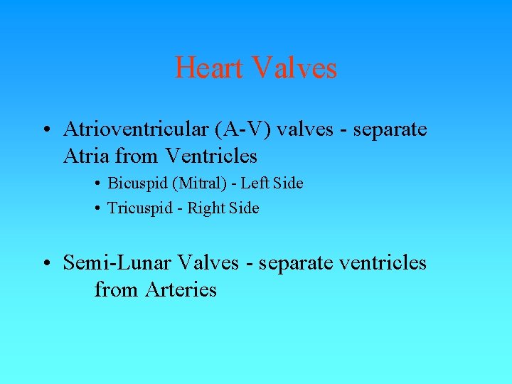 Heart Valves • Atrioventricular (A-V) valves - separate Atria from Ventricles • Bicuspid (Mitral) Heart Valves • Atrioventricular (A-V) valves - separate Atria from Ventricles • Bicuspid (Mitral)
