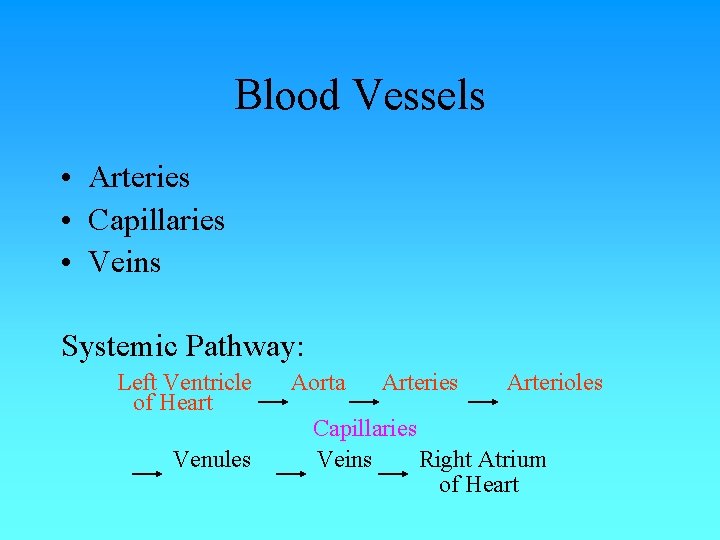 Blood Vessels • Arteries • Capillaries • Veins Systemic Pathway: Left Ventricle of Heart Blood Vessels • Arteries • Capillaries • Veins Systemic Pathway: Left Ventricle of Heart