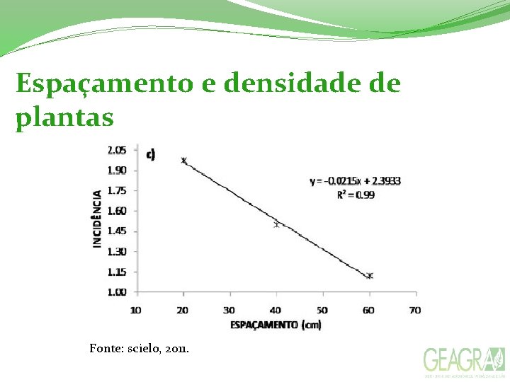 Espaçamento e densidade de plantas Fonte: scielo, 2011. 