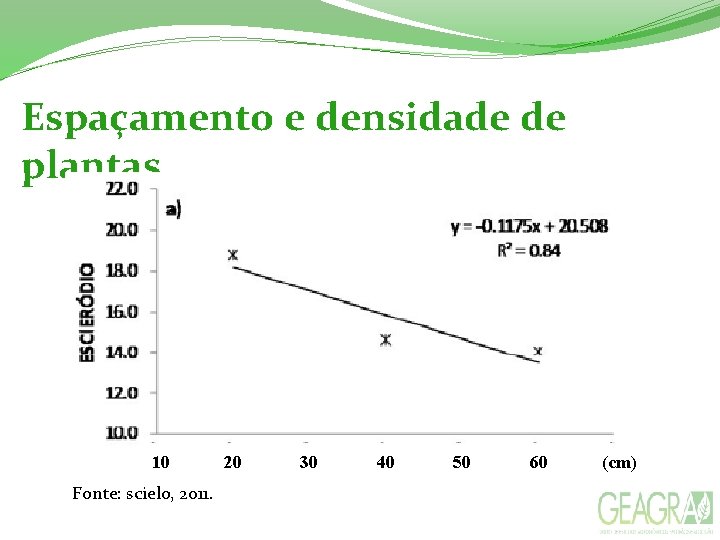 Espaçamento e densidade de plantas 10 Fonte: scielo, 2011. 20 30 40 50 60