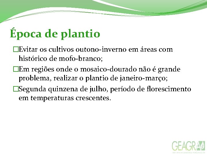 Época de plantio �Evitar os cultivos outono-inverno em áreas com histórico de mofo-branco; �Em