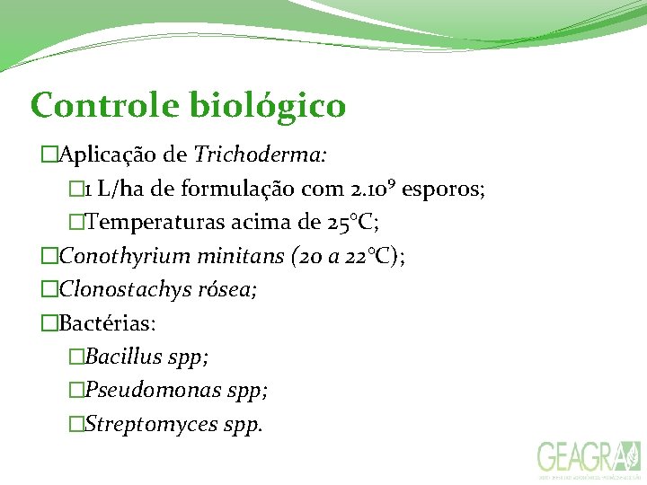 Controle biológico �Aplicação de Trichoderma: � 1 L/ha de formulação com 2. 10⁹ esporos;