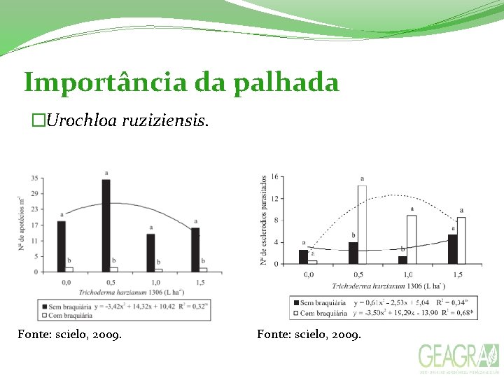 Importância da palhada �Urochloa ruziziensis. Fonte: scielo, 2009. 