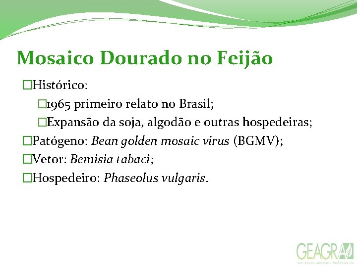 Mosaico Dourado no Feijão �Histórico: � 1965 primeiro relato no Brasil; �Expansão da soja,