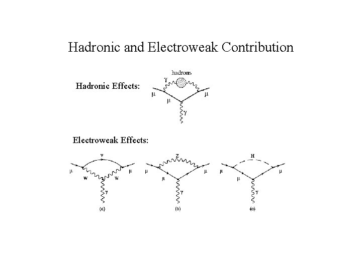 Hadronic and Electroweak Contribution Hadronic Effects: Electroweak Effects: 