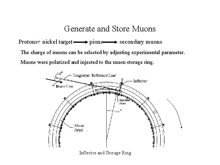 Generate and Store Muons Protons+ nickel target pions secondary muons The charge of muons