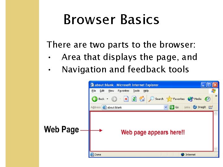 Browser Basics There are two parts to the browser: • Area that displays the