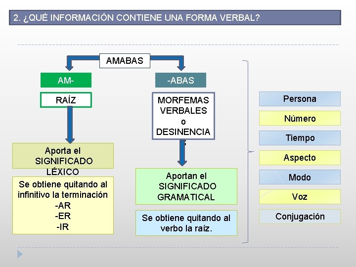 2. ¿QUÉ INFORMACIÓN CONTIENE UNA FORMA VERBAL? AMABAS AMRAÍZ Aporta el SIGNIFICADO LÉXICO Se